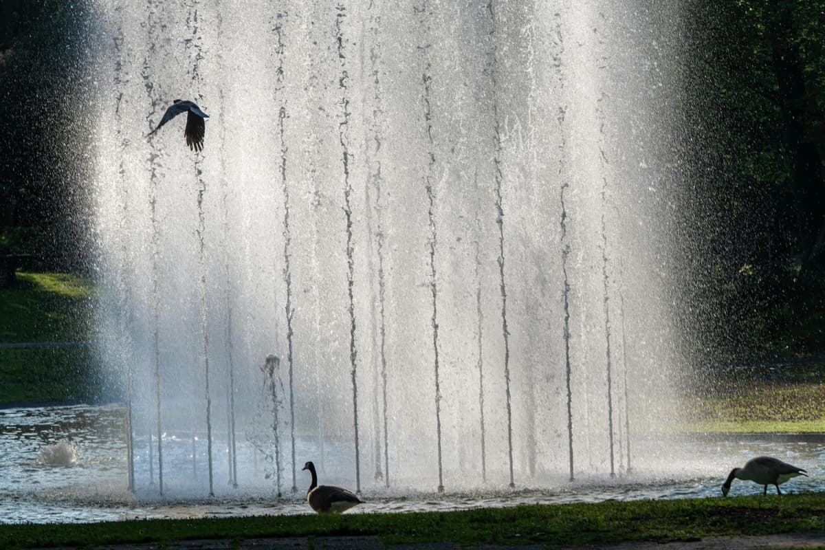 Jets vs Ravens Week 12 predictions: expert picks for NFL Week 12